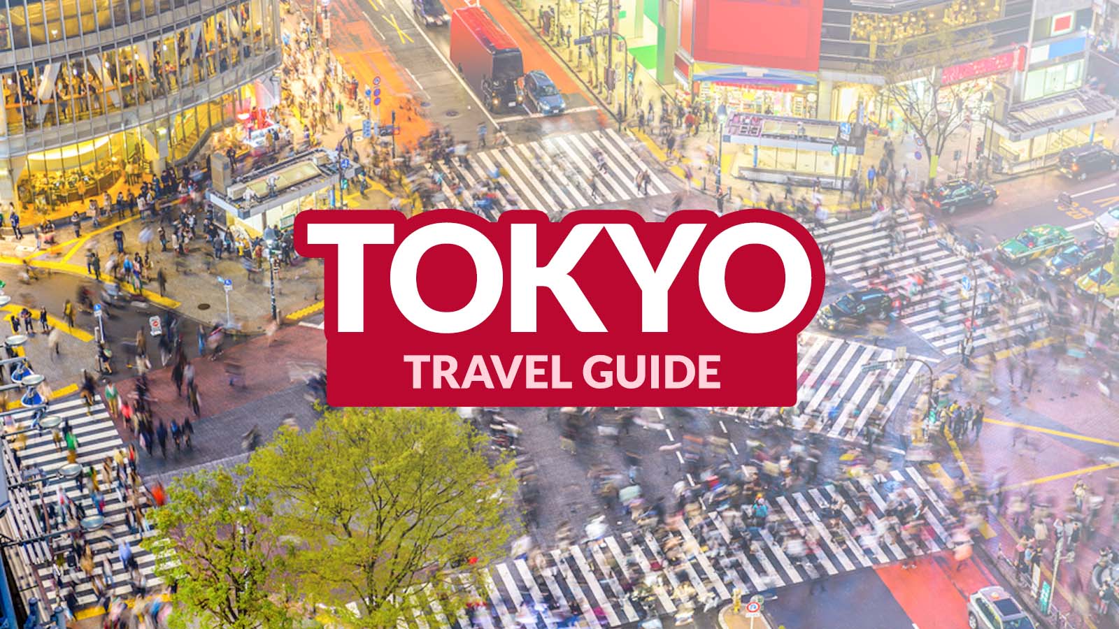 tokyo japan travel guide